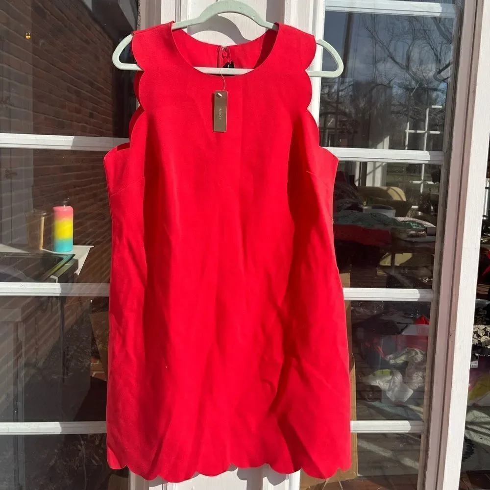 J Crew Scalloped Shift Dress NWT